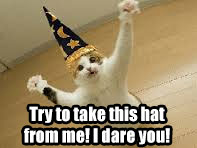 cat_with_wizard_hat