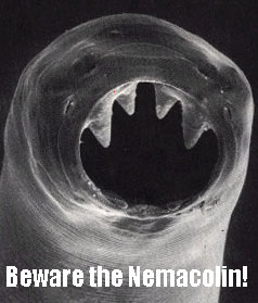 nemacolin parasite