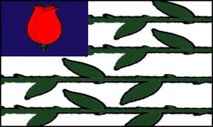 bachelor_nation_flag