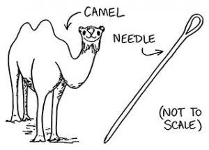 camel_needle