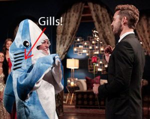 Nick Viall giving rose to girl in Shark/Dolphin costume
